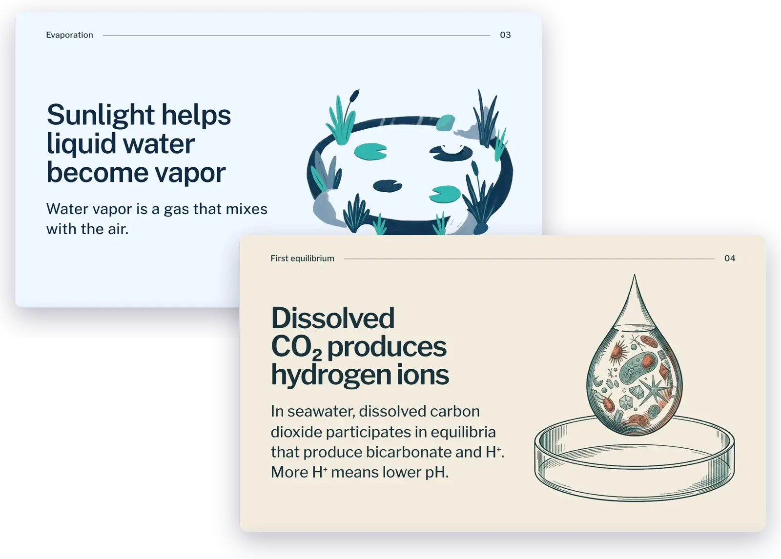 Two slides on a similar idea for different grades: a 3rd grade slide that says "Sunlight helps liquid water become vapor" in a few big words, and a high school slide, "Dissolved CO2 produces hydrogen ions", with a denser explanation of equilibria and pH
